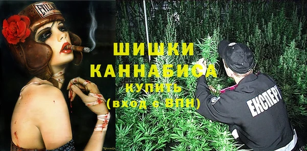 прущий лед Абаза