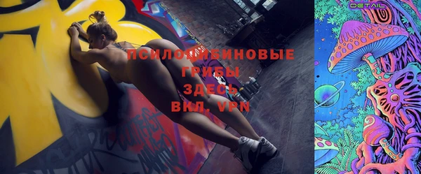 прущий лед Абаза