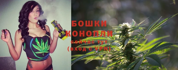 прущий лед Абаза